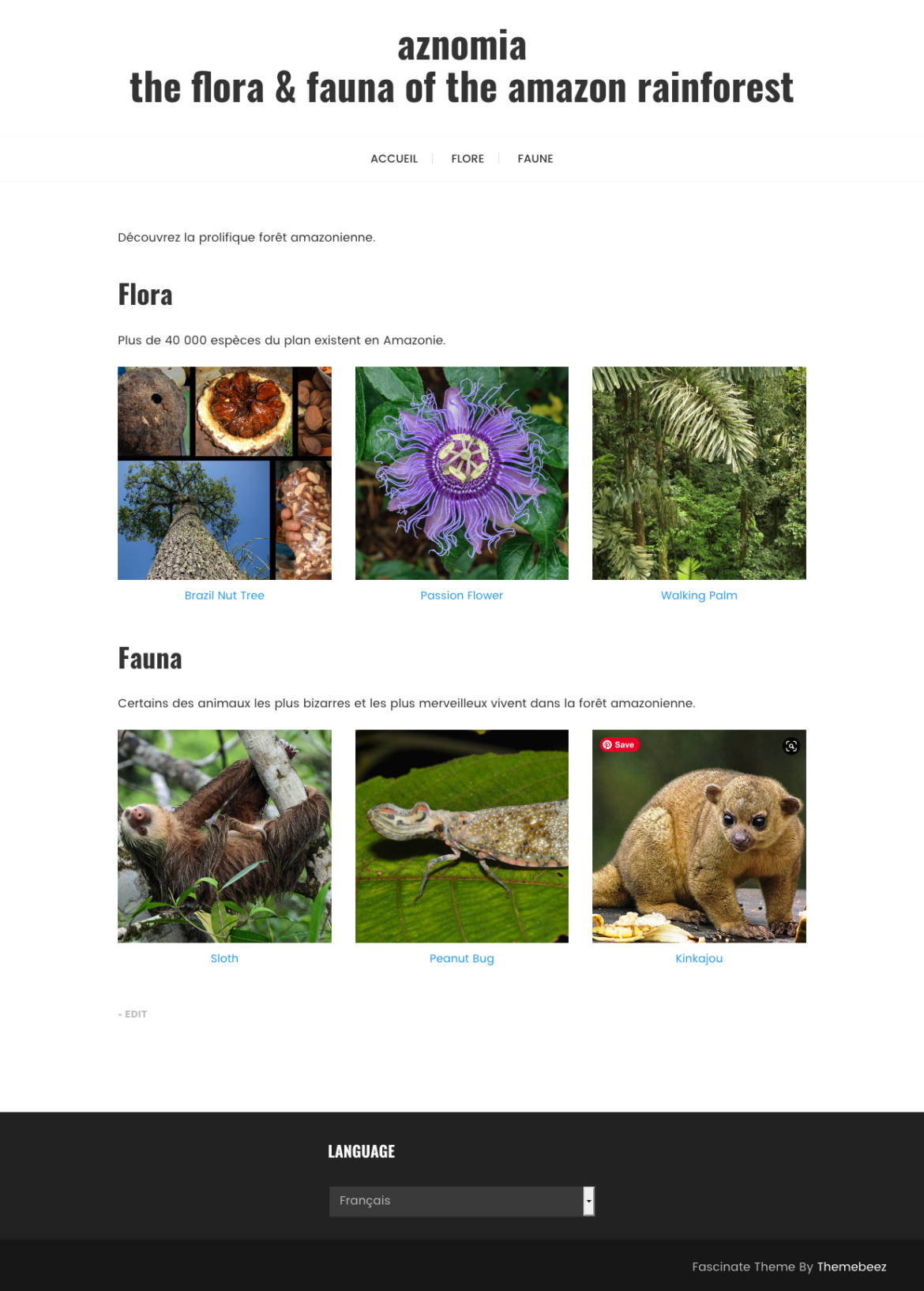 Sitio de demostración de WordPress terminado traducido al francés | Phrase
