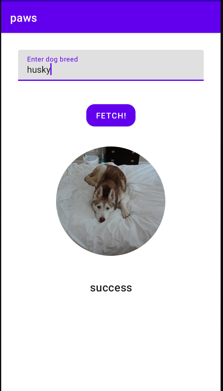 Successful fetch request in demo app | Phrase